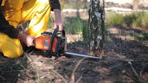 Best Lot and Land Clearing Services  in USA